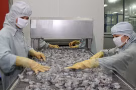 Vietnam-Canada trade value hits over 3 billion USD
