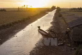 Vietnam works with Mekong river countries on water use