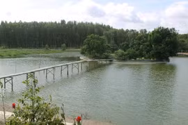 Cajuput forest in Hau Giang becomes biggest ecotourism site in Mekong 