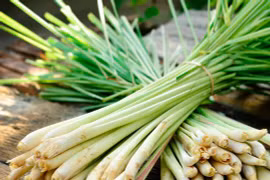 Delta farmers make profit from lemongrass