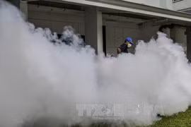 Zika virus in Singapore likely evolved from Southeast Asia