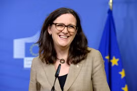 Vietnam-a potential market for EU exports 