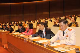 NA adopts revised law on signing, joining, implementing int’l treaties