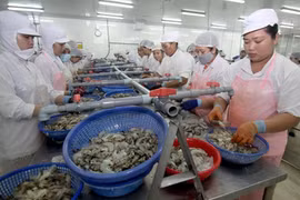Bac Lieu to host Vietshrimp International Fair 2016 in June