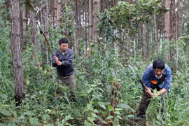 JICA-funded project to help develop sustainable forest in northwest 