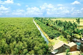 Ca Mau seeks solutions for lacklustre tourism sector