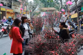 Prime Minister agrees on seven-day Tet holidays