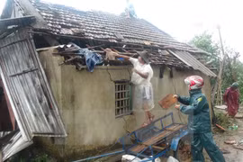 Extreme weather events cause 660 million USD losses a year