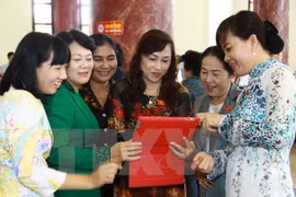HCM City outstrips national average in gender equality promotion