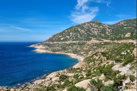 Thuan Nam coastal protection forest, Ninh Thuan province. (Photo: VNA) 