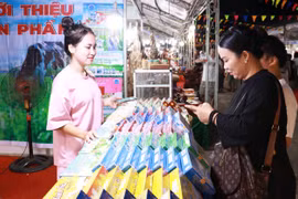 The Trans-Asia Bridge trade-tourism fair 2024 opened in Quang Tri central province’s Dong Ha city on June 6. (Photo: VNA)