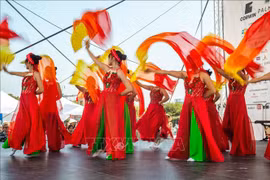 Third Vietnam Day held in Slovakia (Photo: VNA)