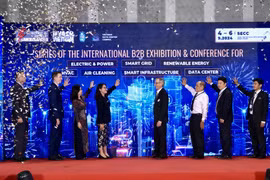 Delegates at the opening ceremony (Photo: VNA)
