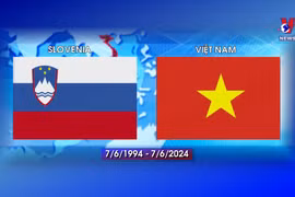 Vietnam, Slovenia tap great potential to strengthen cooperation