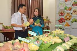 An Giang province promotes agro-fishery exports