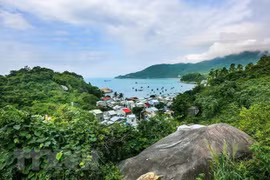 Measures sought to manage, preserve Vietnam’s biosphere reserves
