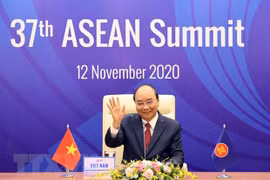 Vietnam’s stature, mettle, wisdom manifested in ASEAN Chairmanship Year