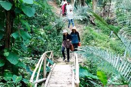 Binh Thuan developing tourism products in association with sustainable agriculture