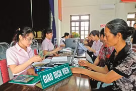 Vinh Phuc bolstering effectiveness of social policy credit