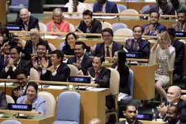 Vietnam readies to take role of President of UN Security Council 
