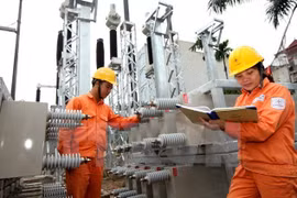 EVN Hanoi launches hotlines on power use 