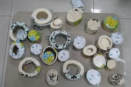 HCM City: 15 kg of elephant tusks seized at airport