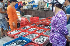 Central provinces put clean fish for sale amid poisoned fish fear