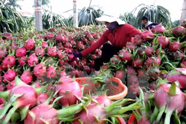 Australia enhances partnership with Vietnamese localities