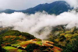Sa Pa strives to become key global tourist attraction 