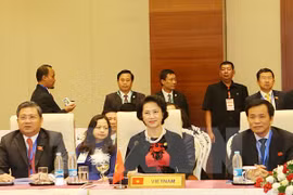 National Assembly leader attends AIPA executive committee meeting