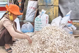 VN promotes inclusive growth for the sake of women