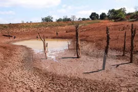 Int’l organisations to assist drought-affected localities