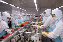 Shrimp export to US sees growth 