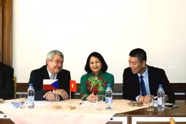 Vietnam, Czech communist parties step up relations