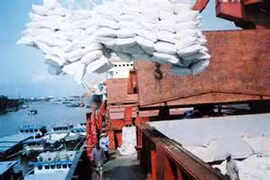 HCM City’s import-export turnover enjoys climb