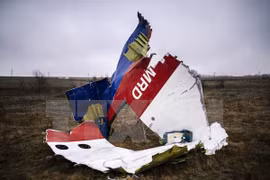 Malaysia vows to find out explanation for MH17 tragedy 
