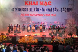 Bac Ninh: Japanese cherry blossom festival in full swing