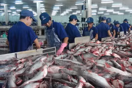 Russia – potential market for Vietnam’s farm produce