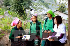 Vietnam calls for UNDP’s help in ethnic minority-related affairs 