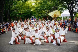 Japan-like cherry blossom festival Shinnen 2016 in Hanoi
