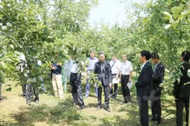 Conference on Vietnam-Japan potential 