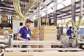 Wood consumption to rise by 10 percent 