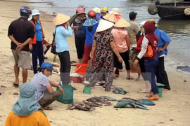 Compensation levels for Formosa damage in central provinces announced 