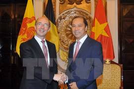 Vietnam, Wallonie-Bruxelles accelerate pace of joint projects 