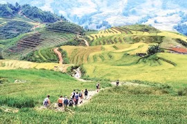 Lao Cai province braces for ‘tourism year' 
