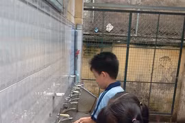 HCM City orders clean-up for new school year