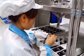 Italian businesses wish to expand trade, investment in Vietnam