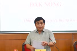 Dak Nong proposes hastening aluminum project