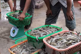 Maritime environmental incident in central region actively settled 