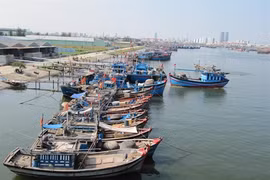 Da Nang attractive to Japanese investors: CEO